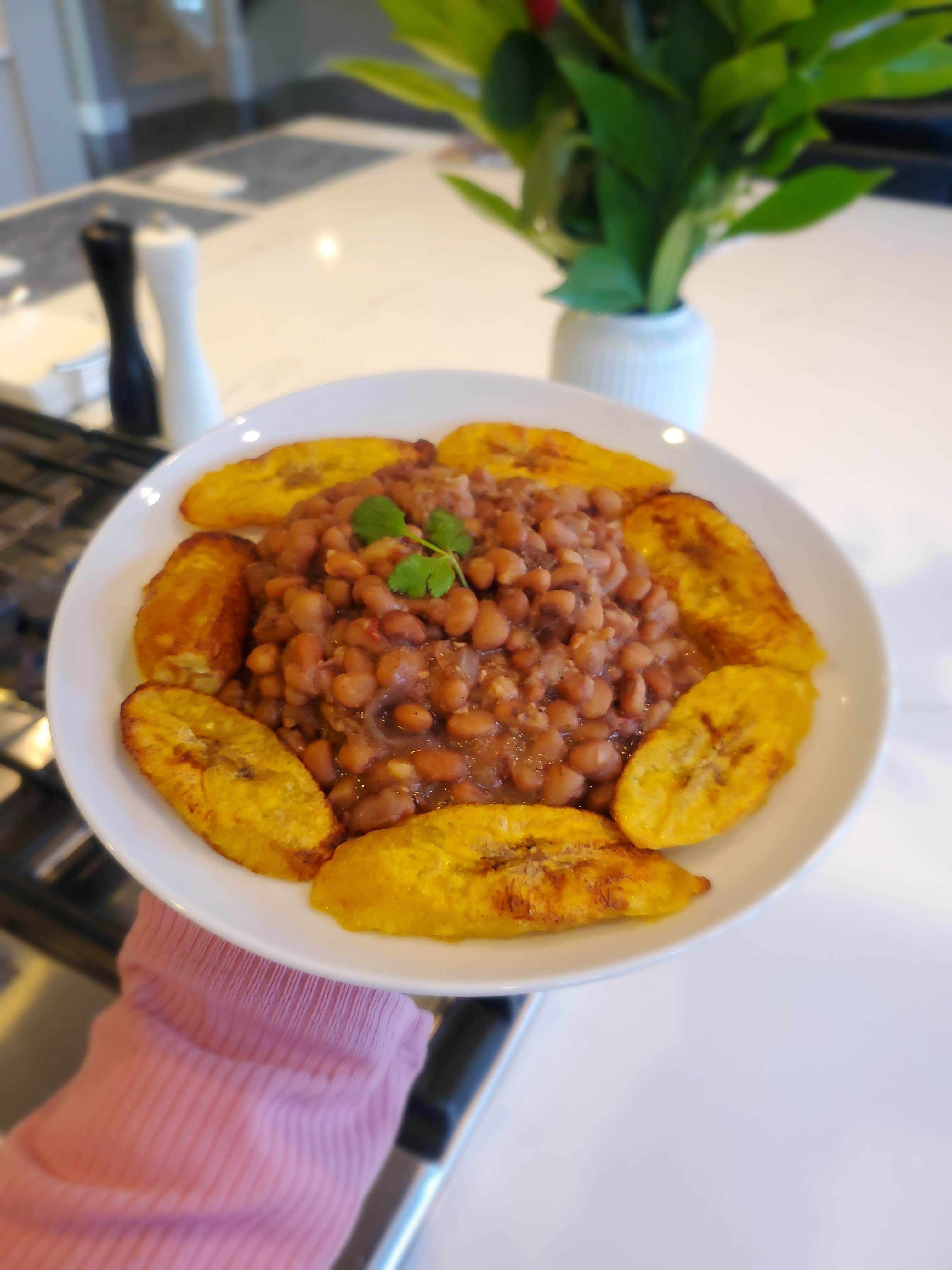 Air Fried Plantains